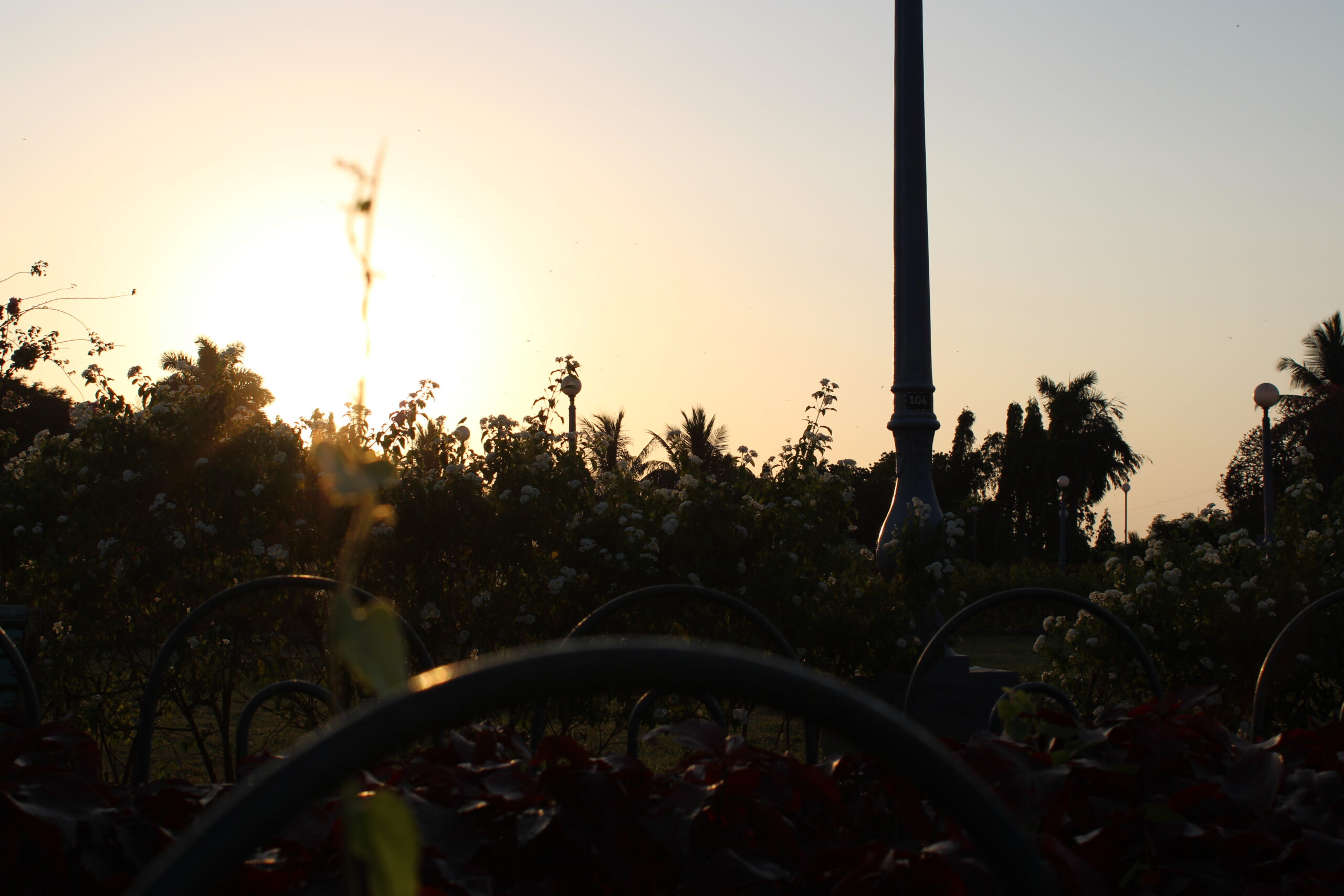 Quiet Sunset