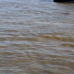 Rhythm of the Sea